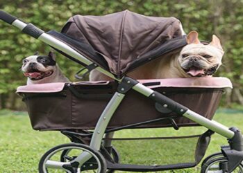 L’ideologia ci fa fare sempre meno figli, ma così l’Italia muore