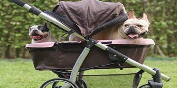 L’ideologia ci fa fare sempre meno figli, ma così l’Italia muore