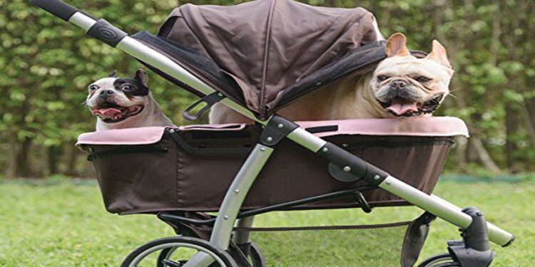 L’ideologia ci fa fare sempre meno figli, ma così l’Italia muore