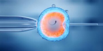 La tecnologia avanza di fronte alla vita, quale limite etico?