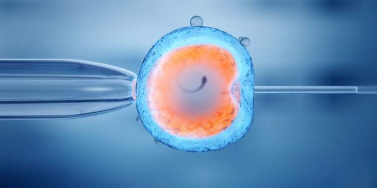 La tecnologia avanza di fronte alla vita, quale limite etico?