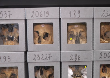 Gli algerini chiedono alla Francia scuse e risarcimento per i crimini della colonizzazione: massacri, saccheggio, test nucleari e acculturazione forzata