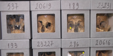 Gli algerini chiedono alla Francia scuse e risarcimento per i crimini della colonizzazione: massacri, saccheggio, test nucleari e acculturazione forzata