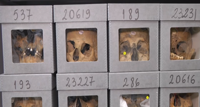 Gli algerini chiedono alla Francia scuse e risarcimento per i crimini della colonizzazione: massacri, saccheggio, test nucleari e acculturazione forzata