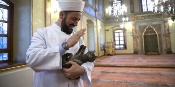Gli animali domestici nella visione islamica: cosa fare e cosa evitare