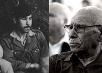 Algeria: rilasciati 76 prigionieri politici del movimento Hirak