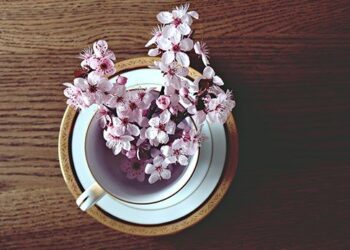 Il digiuno a intermittenza e la riscoperta delle pratiche spirituali in Occidente