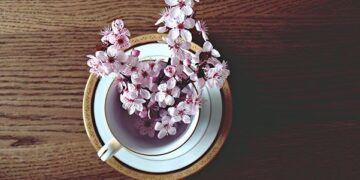 Il digiuno a intermittenza e la riscoperta delle pratiche spirituali in Occidente