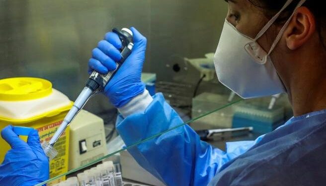 L’ennesimo passo verso il suicidio collettivo