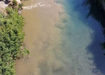 Il Coronavirus ha ripulito i fiumi, un segno su cui riflettere