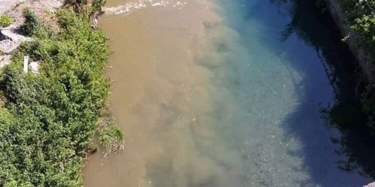 Il Coronavirus ha ripulito i fiumi, un segno su cui riflettere