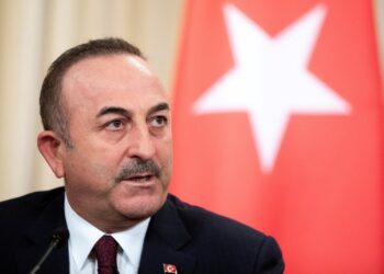 La Turchia accusa gli Emirati Arabi Uniti di sostenere al-Shabab in Somalia