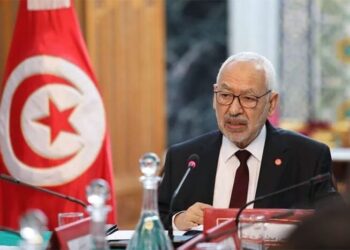 Campagna degli Emirati contro il presidente del parlamento tunisino Ghannouchi, scontro su Libia e Turchia