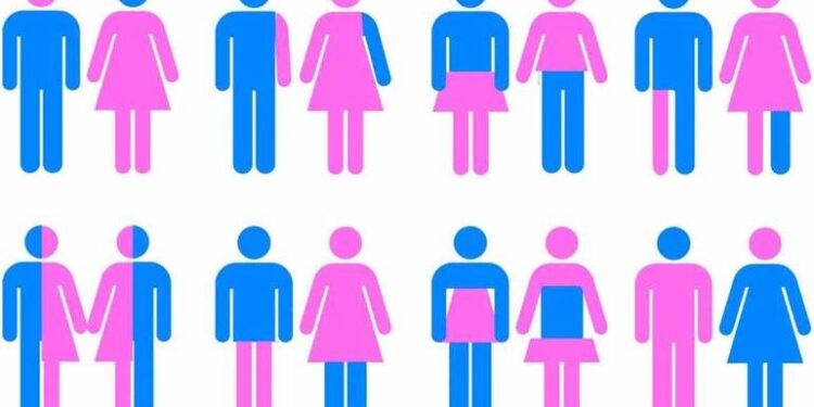 La legge contro l’omotransfobia è una scusa per imporre il totalitarismo gender fluid