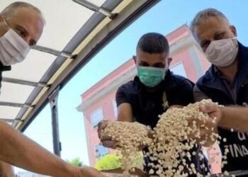 Captagon: la “droga dell’ISIS” che in realtà è prodotta dagli Assad, il governo italiano però preferisce non dirlo