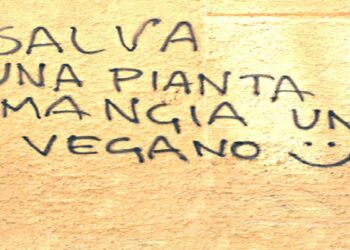 Gerusalemme non è capitale di Israele, il giudice ordina alla RAI rettifica
