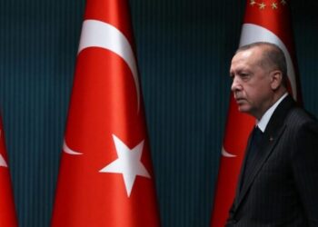 Fermare la Turchia: l’imperativo che risuona nel mondo arabo