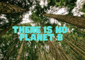 Sfatiamo il mito: eco non è caro – 10 prodotti sostenibili sotto i 10€ su Amazon