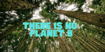 Sfatiamo il mito: eco non è caro – 10 prodotti sostenibili sotto i 10€ su Amazon