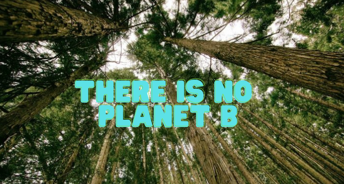 Sfatiamo il mito: eco non è caro – 10 prodotti sostenibili sotto i 10€ su Amazon