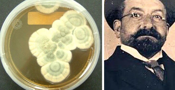 L’acqua ossigenata contro il Covid e Vincenzo Tiberio che anticipò Fleming