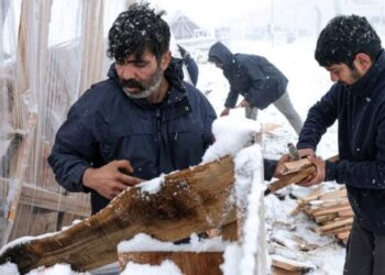 Il virus che fagocita l’informazione