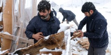 Il virus che fagocita l’informazione