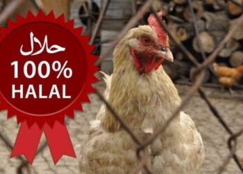 La macellazione halal del pollo nel mirino del governo francese, sarà vietata?