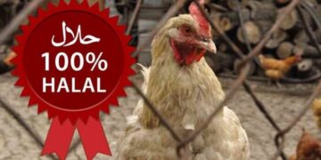 La macellazione halal del pollo nel mirino del governo francese, sarà vietata?