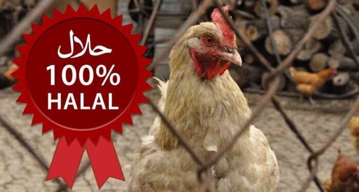 La macellazione halal del pollo nel mirino del governo francese, sarà vietata?