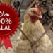 La macellazione halal del pollo nel mirino del governo francese, sarà vietata?