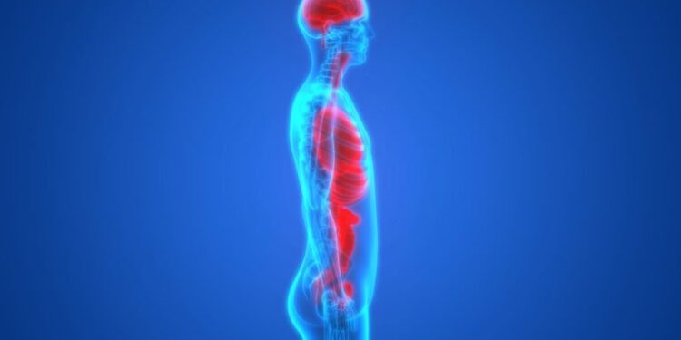 Chiamiamo cura la convivenza con i disturbi perchè non ne conosciamo l’origine