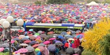 Migliaia di donne in piazza contro il green pass nel silenzio delle femministe