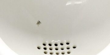 La pandemia e la finta mosca nel cesso