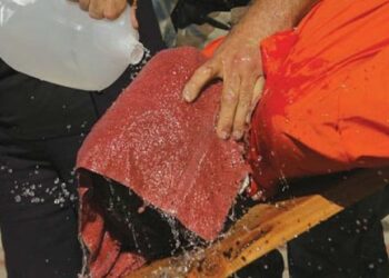 Prigioniero a Guantanamo descrive le torture della CIA in tribunale