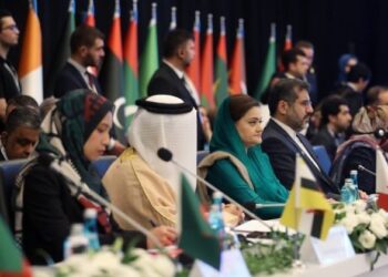 L’Organizzazione per la Cooperazione Islamica approva la dichiarazione di Istanbul contro l’Islamofobia