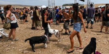 Il Decreto-legge contro i Rave Party come i Dpcm di Conte, manca il senso della misura