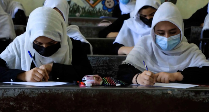 Ecco perché i musulmani dovrebbero sostenere il governo talebano