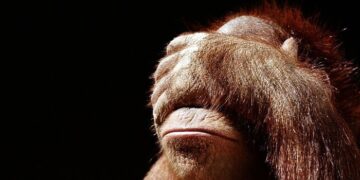 J’accuse sull’umiliante gaffe del Corriere della Sera sui presunti “consigli di fedeltà dell’Imam” a Padova