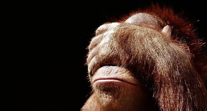 J’accuse sull’umiliante gaffe del Corriere della Sera sui presunti “consigli di fedeltà dell’Imam” a Padova