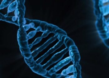 Intelligenza Artificiale ed una nuova idea di medicina