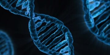 Intelligenza Artificiale ed una nuova idea di medicina