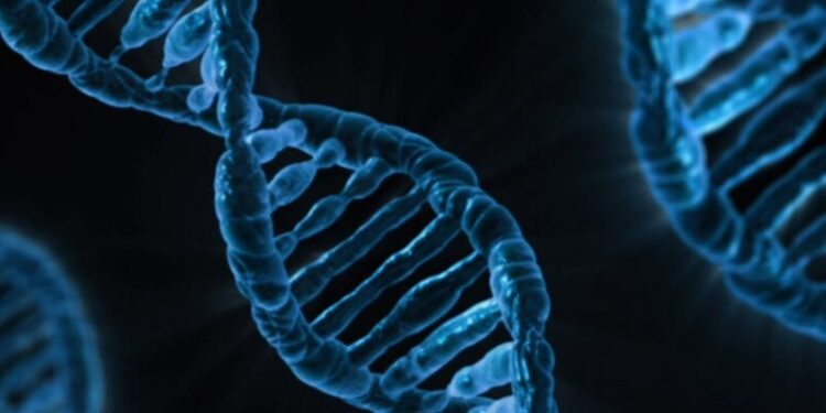 Intelligenza Artificiale ed una nuova idea di medicina