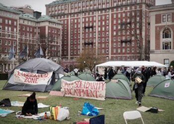 Risveglio Globale: La Lotta per la Giustizia e la Pace in Palestina