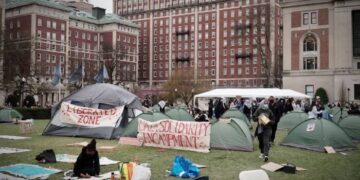 Risveglio Globale: La Lotta per la Giustizia e la Pace in Palestina