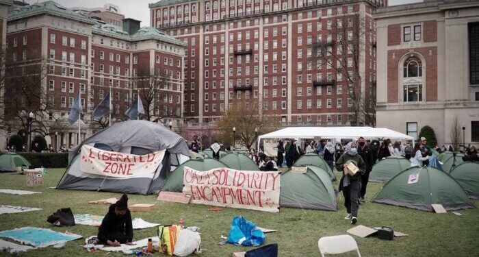 Risveglio Globale: La Lotta per la Giustizia e la Pace in Palestina