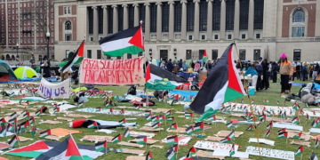 Ilan Pappe: possiamo sconfiggere la lobby