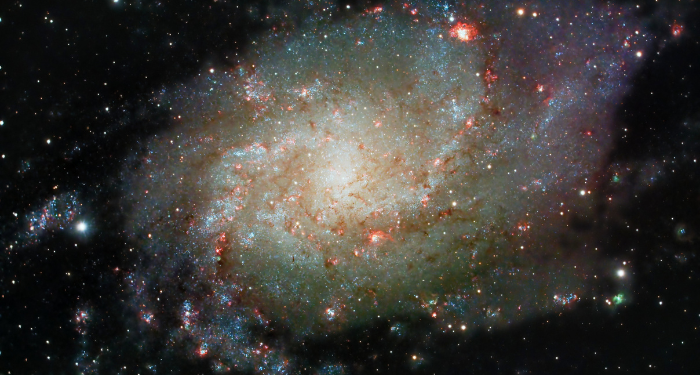 Dalla polvere di stelle alla coscienza: la chiamata di un Creatore