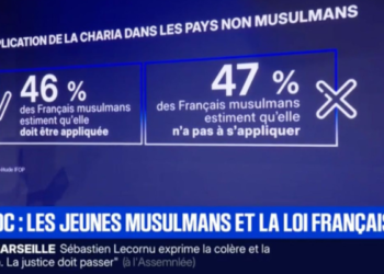 Un sondaggio, molti interessi: come l’islamofobia italiana ricicla la propaganda sio-emiratina contro i musulmani europei