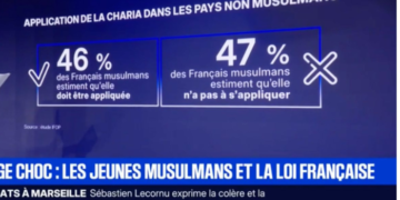 Un sondaggio, molti interessi: come l’islamofobia italiana ricicla la propaganda sio-emiratina contro i musulmani europei